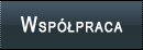 Wsp�praca